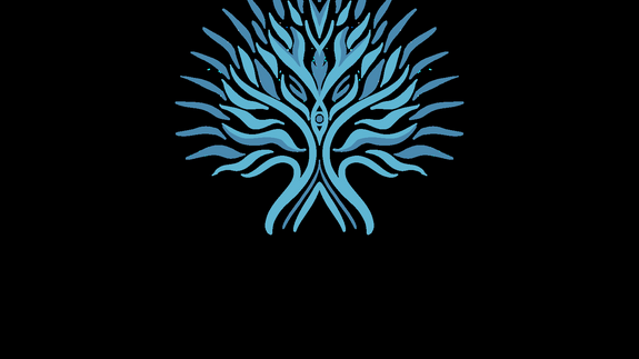 Zapraszamy do udziału w bezpłatnym programie edukacyjnym InsightED